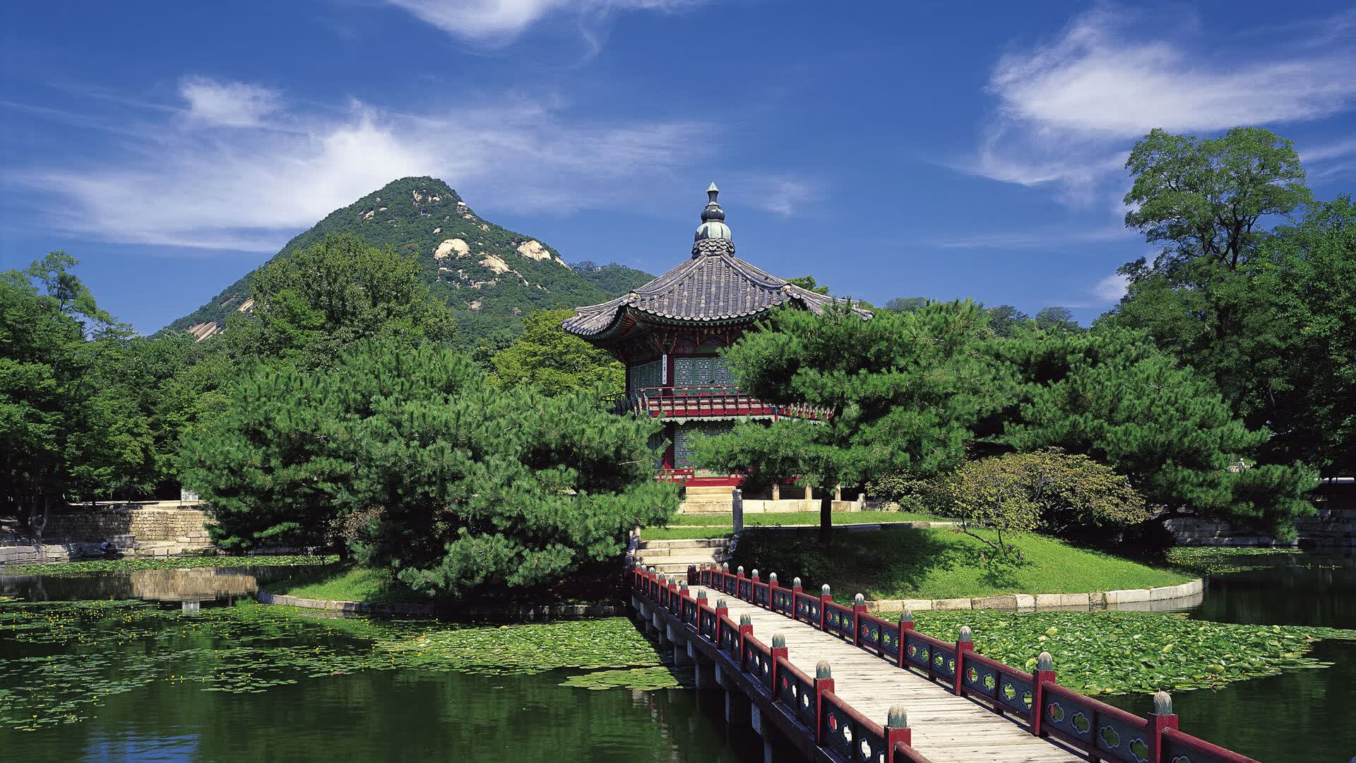 世界短道速滑青训教材出版：系统课程助力教练规范教学，世界短道速滑2021